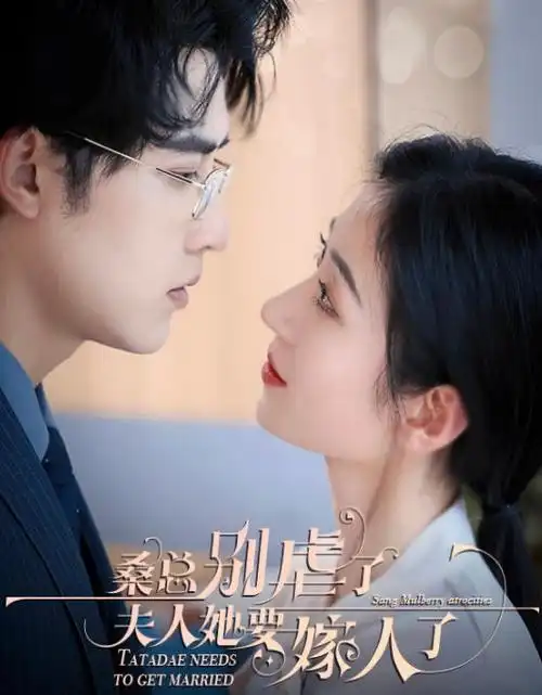 次元城动漫 赘婿归来 逆袭短剧封面